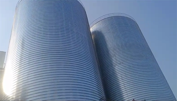 扎鲁特2座混凝土高架卷板仓